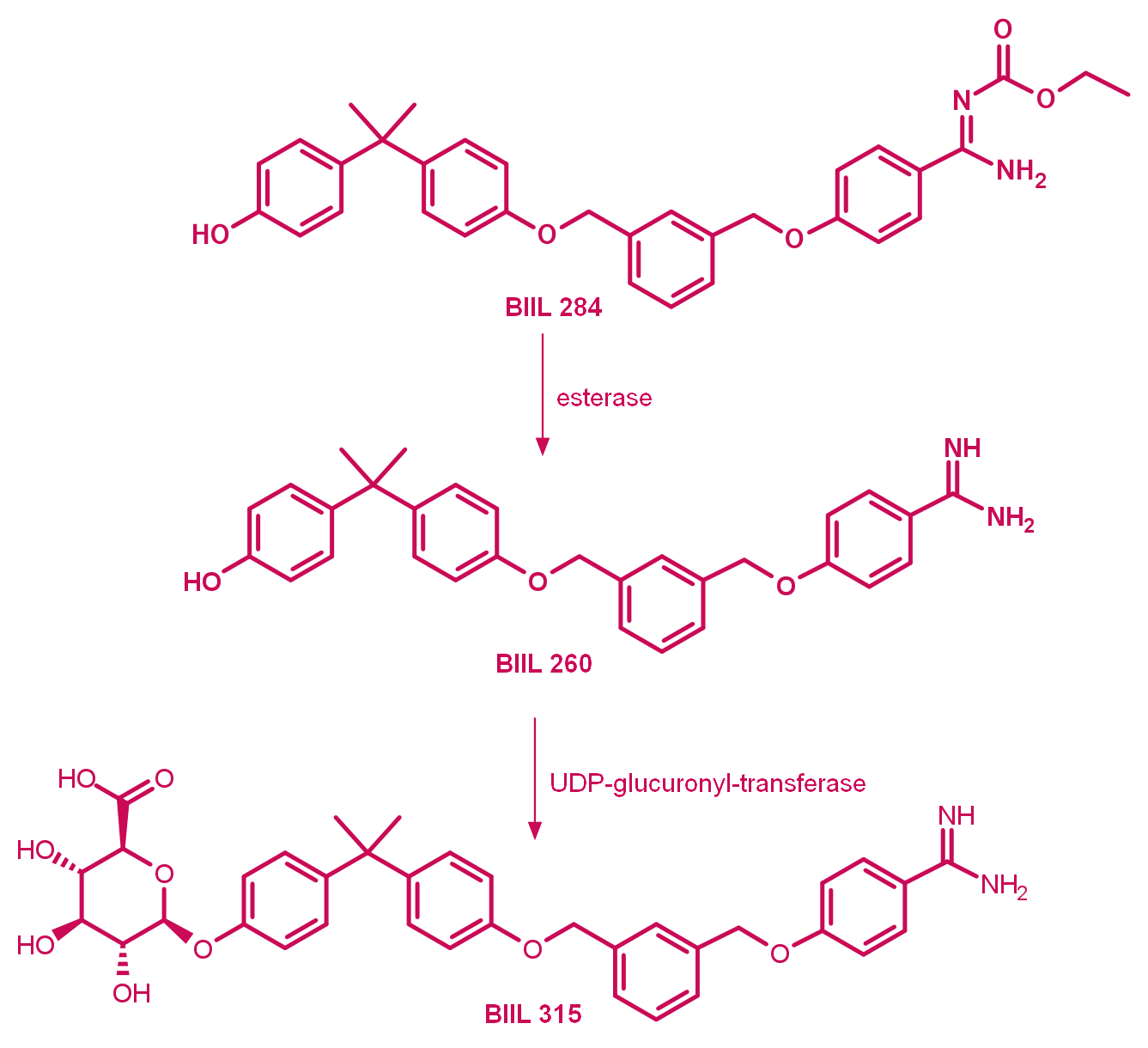Metabolism of prodrug BIIL 284 to BIIL 260 and BIIL 315